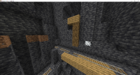 21w07aBug2.png