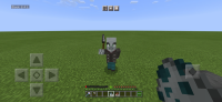 Minecraft_2021-02-19-19-00-25.jpg