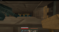 Minecraft 2_25_2021 9_46_20 AM.png