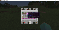 Minecraft 21w08b 2_26_2021 1_01_42 PM.png