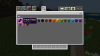 Minecraft 2_28_2021 3_09_20 PM.png