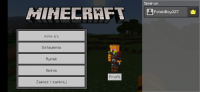 Screenshot_20210303_224534_com.mojang.minecraftpe.jpg