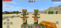 Screenshot_20210308_142119_com.mojang.minecraftpe.jpg