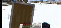 Screenshot_2021-03-09-20-04-14-184_com.mojang.minecraftpe.jpg
