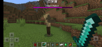Screenshot_2021-03-12-15-23-42-399_com.mojang.minecraftpe.jpg
