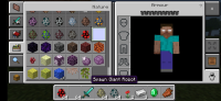 Screenshot_2021-03-12-15-22-39-716_com.mojang.minecraftpe.jpg