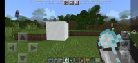 0_Screenshot_20210313_060931_com.mojang.minecraftpe.jpg