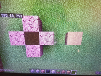 16157201102923204374993426653217.jpg