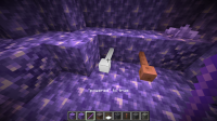 2021-03-17_12.16.08.png