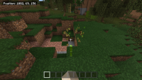 MCPE-62935.png