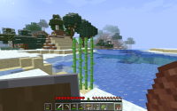 bug.png