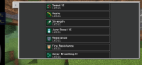 Screenshot_20210322-102757_Minecraft.jpg