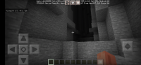 Screenshot_20210328_100806_com.mojang.minecraftpe.jpg