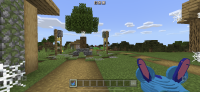 IMG_6811.PNG