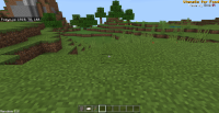 Minecraft Screenshot 2021.04.01 - 19.35.53.39.png