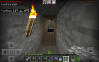 Screenshot_20210405-111941_Minecraft.jpg