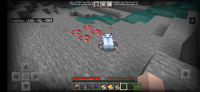 Screenshot_20210422-112016_Minecraft.jpg