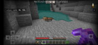 Screenshot_20210422-111238_Minecraft.jpg