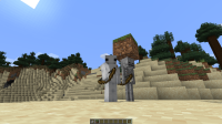 Minecraft Screenshot 2021.04.24 - 13.47.42.86.png
