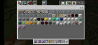 Screenshot_2021-05-11-19-16-32-650_com.mojang.minecraftpe.jpg