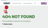 web error.png