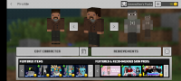 Screenshot_20210513-174824_Minecraft.jpg
