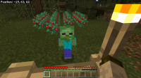 Minecraft 5_18_2021 4_05_54 PM.png