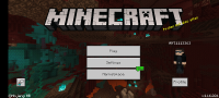 Minecraft_2021-05-19-06-25-32.jpg