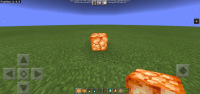 Screenshot_20210522_142002_com.mojang.minecraftpe.jpg