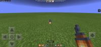 Screenshot_20210522_142009_com.mojang.minecraftpe.jpg