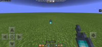 Screenshot_20210522_142012_com.mojang.minecraftpe.jpg