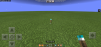 Screenshot_20210522_142015_com.mojang.minecraftpe.jpg