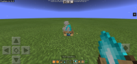Screenshot_20210522_142046_com.mojang.minecraftpe.jpg