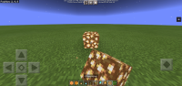 Screenshot_20210522_142053_com.mojang.minecraftpe.jpg