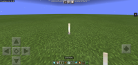 Screenshot_20210522_142126_com.mojang.minecraftpe.jpg
