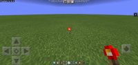 Screenshot_20210522_142133_com.mojang.minecraftpe.jpg