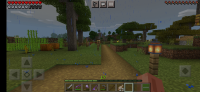 Screenshot_2021-05-26-21-05-01-863_com.mojang.minecraftpe.jpg