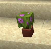 chrome_8TY5DzQ0eA.png