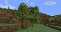 nfy2s68da8m61.png