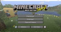 Minecraft_ 1.15.2 4_24_2021 11_16_37 PM.png