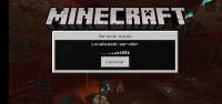 Screenshot_20210530-130514_Minecraft.jpg