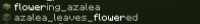 bedrockflowered.png