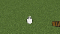 GOATHEADBUG.png
