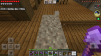 Screenshot_20210604-105634_Minecraft.jpg