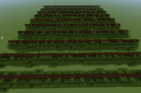 oak-trees-1.6.2.jpg