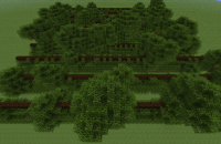oak-trees-13w36b.jpg