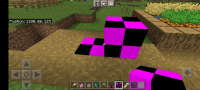 Screenshot_20210608-104611_Minecraft.jpg