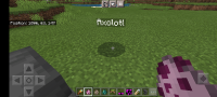 Screenshot_20210608-104546_Minecraft.jpg