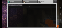 Screenshot_20210608_200755_com.mojang.minecraftpe.jpg
