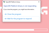 java MC.PNG